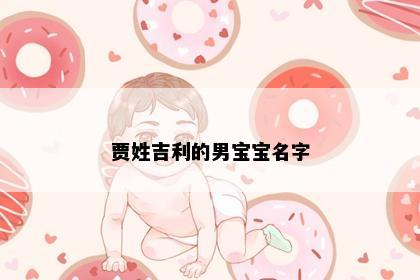 贾姓吉利的男宝宝名字